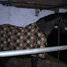 Anden særlig race Lotte :D 