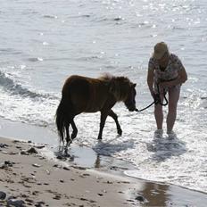 Dansk Miniature Incredible Dark Design