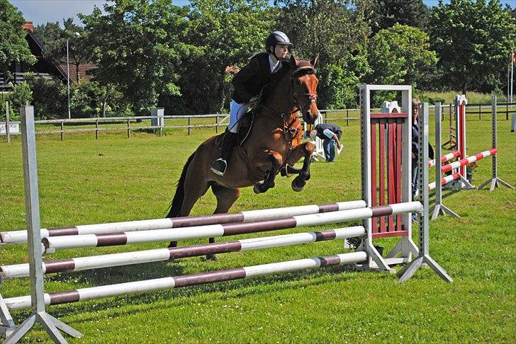 Anden særlig race Holiday - Stævne i DRK billede 6