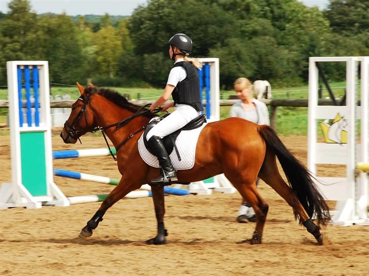 Anden særlig race Holiday - Stævne i KRT - Holiday og Karen på vej rundt på banen billede 8