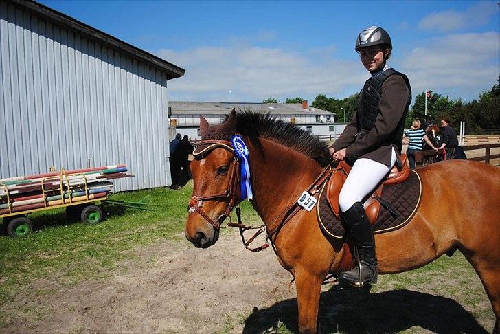 Anden særlig race Holiday - Yay roset igen billede 11