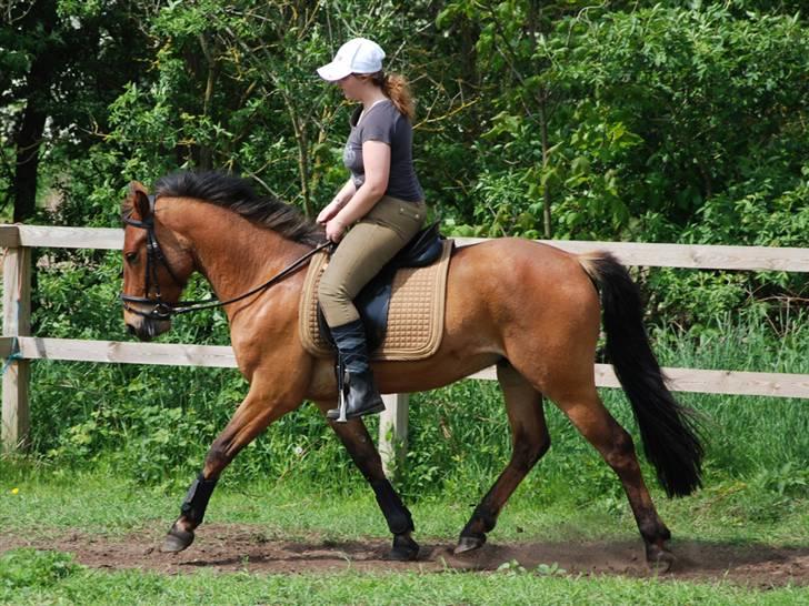 Anden særlig race Holiday - Mig på Holiday Juni 2009 billede 12