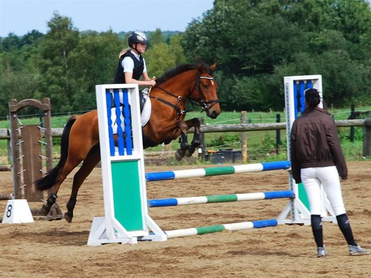 Anden særlig race Holiday - Stævne i KRT august 2009 billede 13