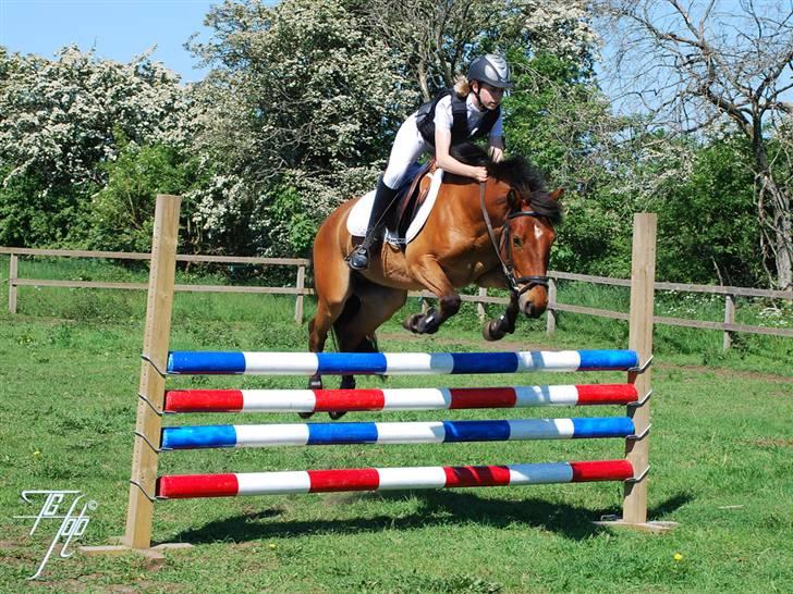 Anden særlig race Holiday - Holiday og Karen - springtræning sommer 2009 - 120 cm billede 15