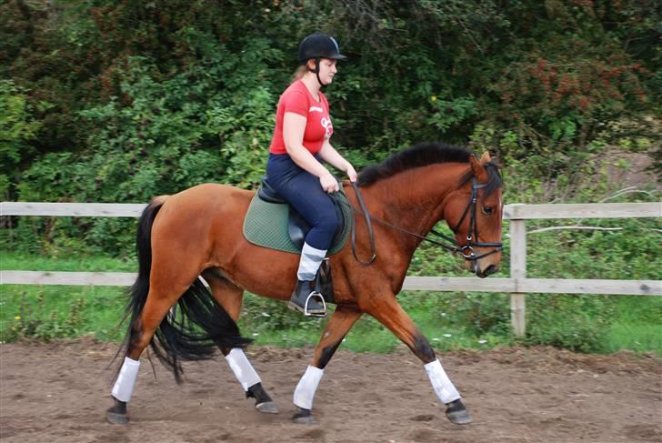 Anden særlig race Holiday - Mig på Holiday september 2009 billede 17