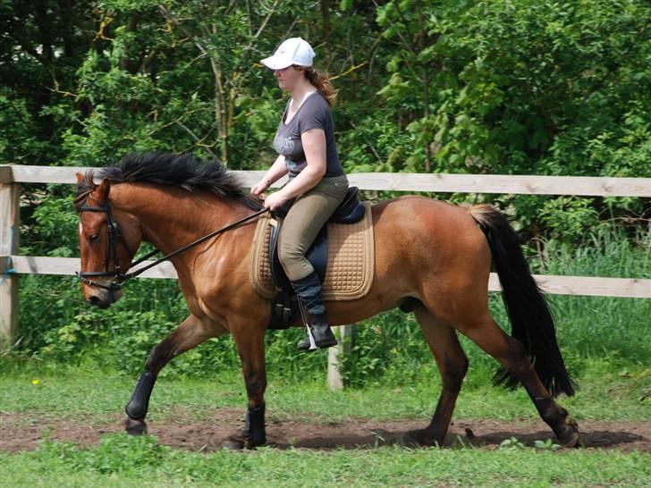 Anden særlig race Holiday - Mig på Holiday Juni 2009 billede 18