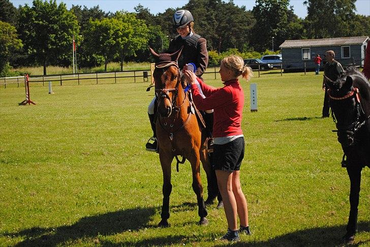 Anden særlig race Holiday - Præmieoverrækkelse i DRK billede 20