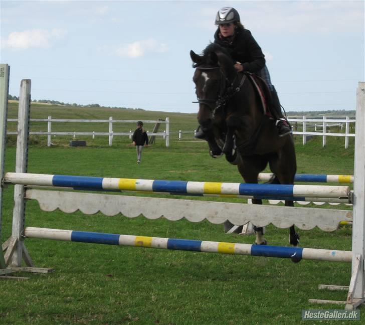 Anden særlig race Manuela  billede 10