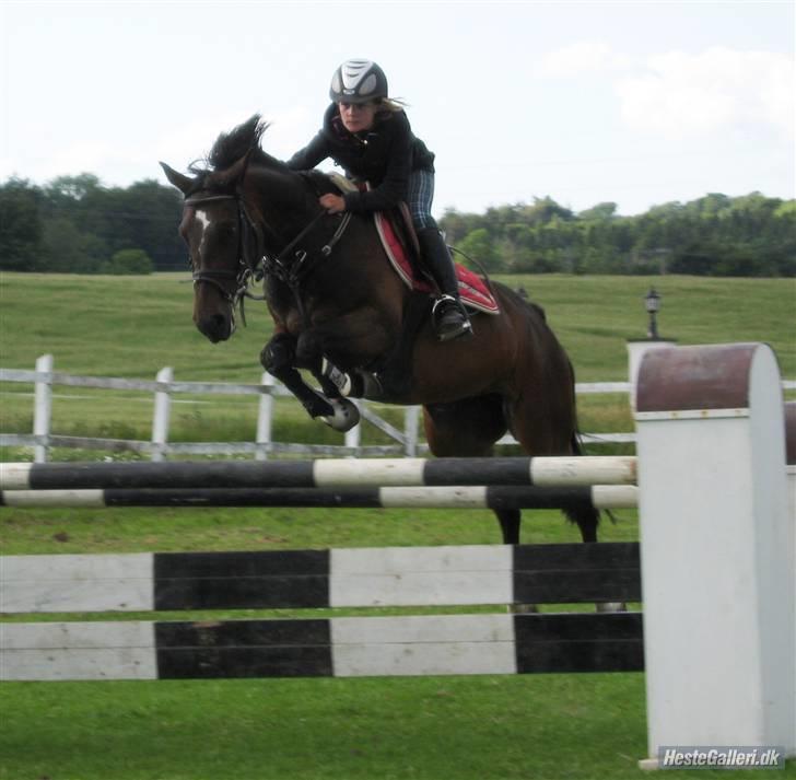 Anden særlig race Manuela  billede 11