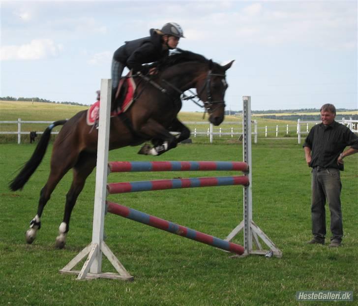 Anden særlig race Manuela  - du tager mig til månen og tilbage igen  billede 12