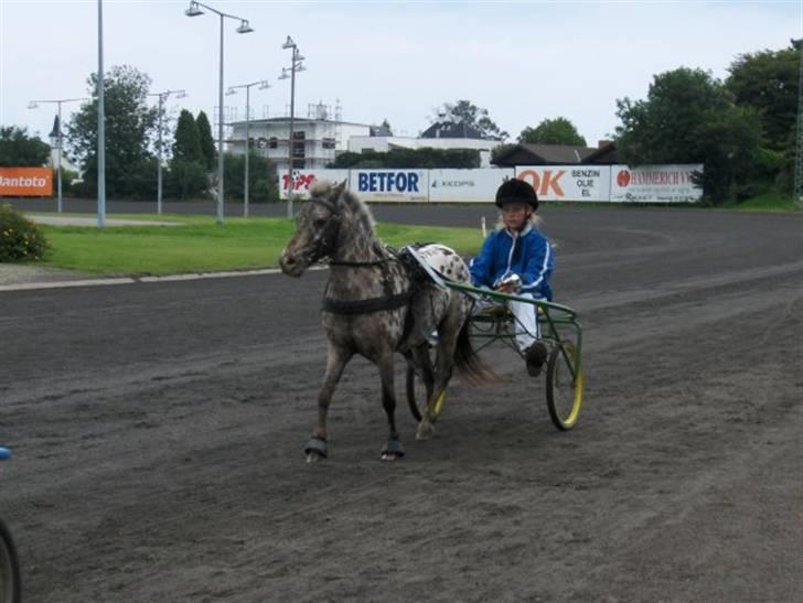 Knabstrupper Prinsesse Marie*solgt:'( - Mig og Rizze DM på Lunden<3 billede 13
