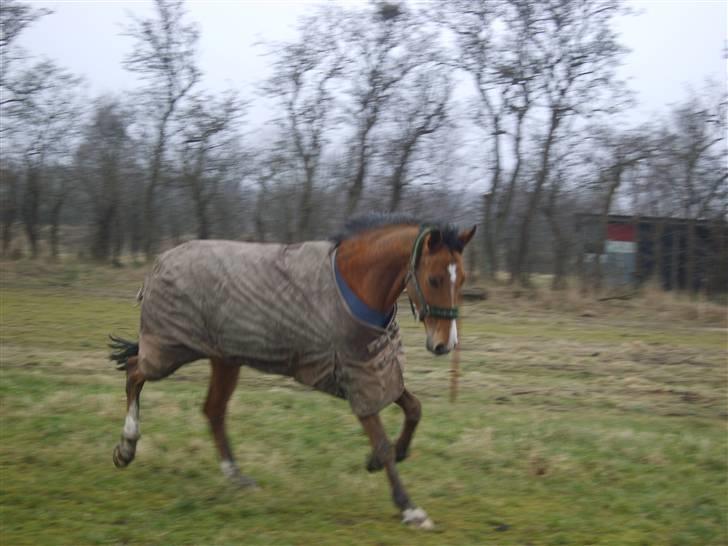 Holstener Little Life  - Jeg er bare for lækker billede 7