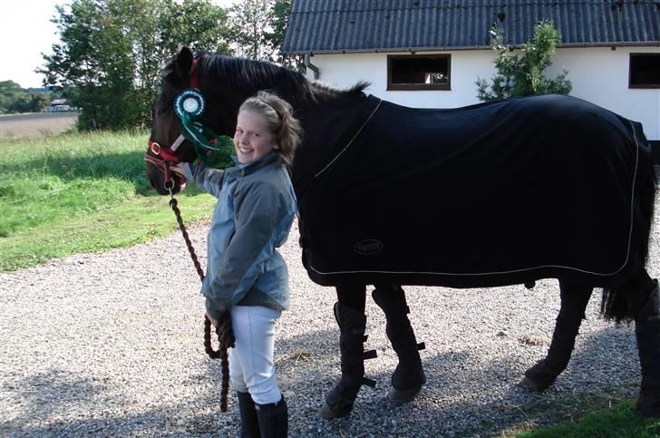 New Forest elmholts Granat - hjemme fra stævne, i fredericia billede 12