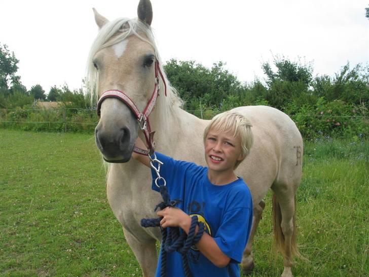 Cruzado Milana *SOLGT* - Kevin træner med sin pony billede 14