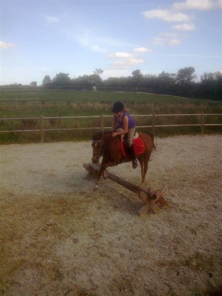 New Forest Chappy - Solgt&Savnet! <3 - 15) Vi Springer, du er perfekt.. billede 15