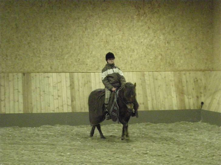 New Forest Chappy - Solgt&Savnet! <3 - 16) Vi rider dressur igen.. billede 16
