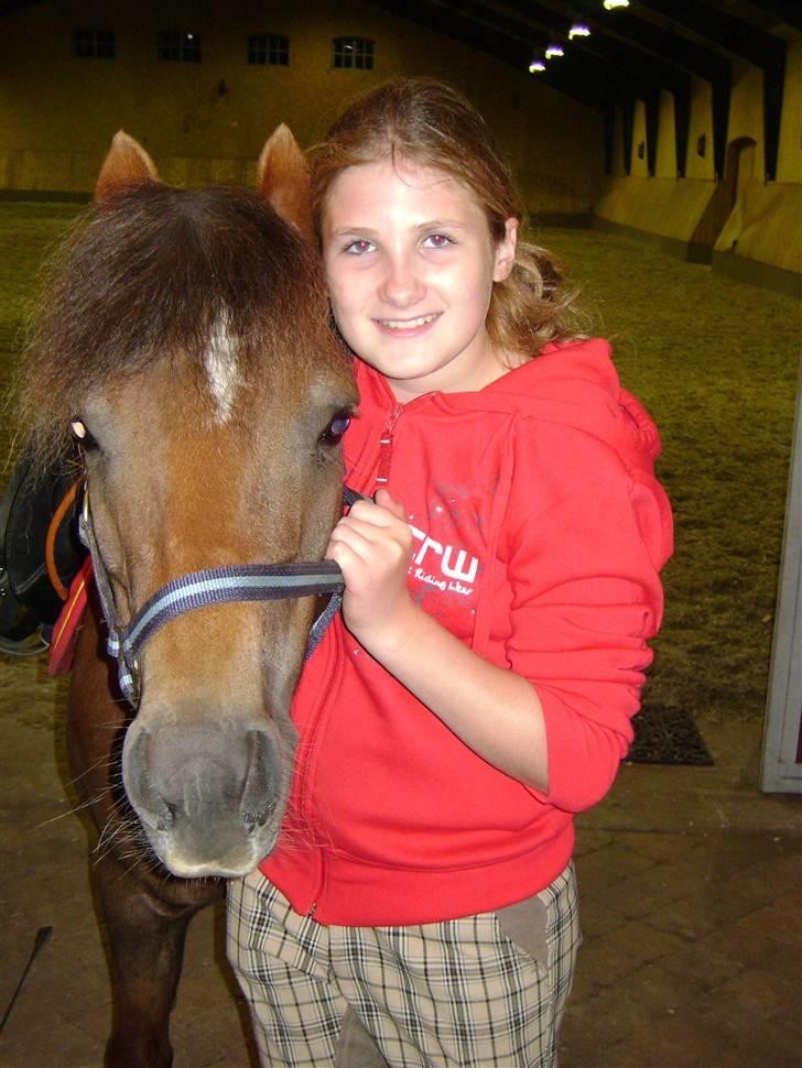 New Forest Chappy - Solgt&Savnet! <3 - 18) Hoved billede.. billede 18