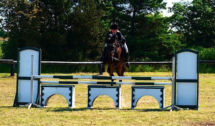 Dansk Varmblod Spindborgs Ophelia  - C stævne på hosk i lb :) taget af Ann Christine. billede 4