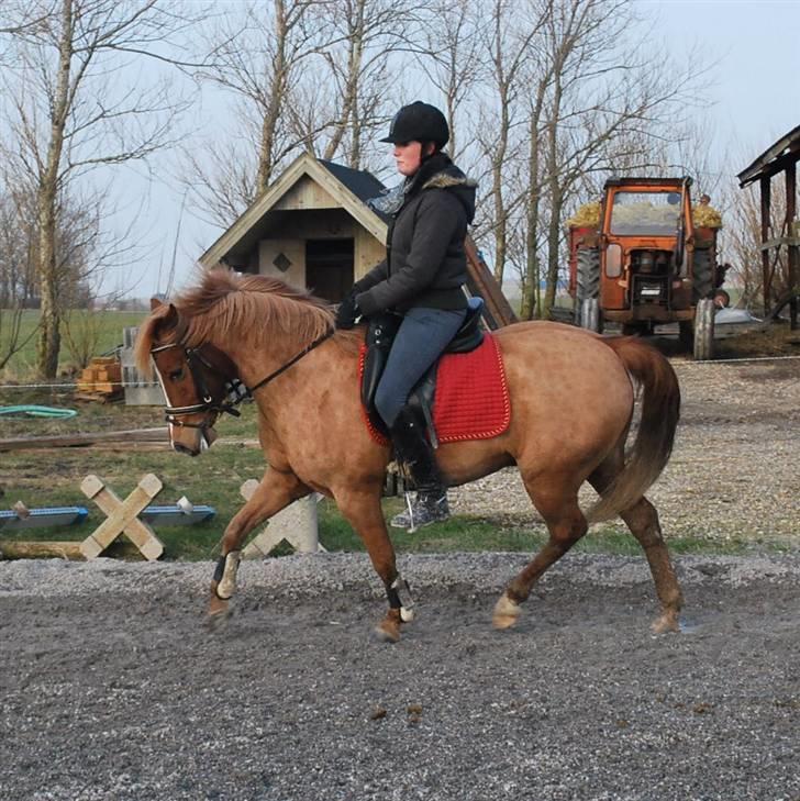 Anden særlig race Baloo - 4/3 09 billede 5