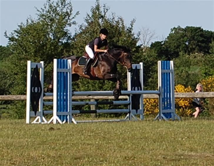 Dansk Varmblod Spindborgs Ophelia  - D stævne SRS LC.  billede 6