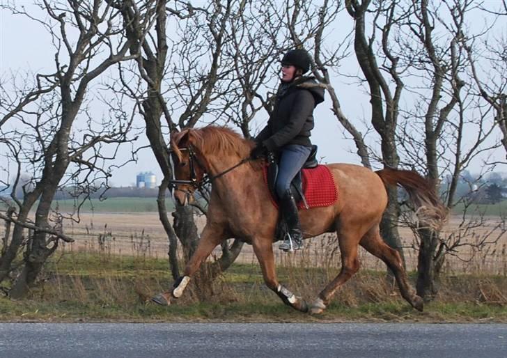 Anden særlig race Baloo - 4/3 09 billede 12