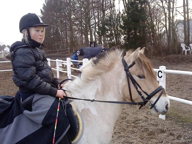Anden særlig race lucky gamle pony:( - mig og min smukke Lucky..! billede 10