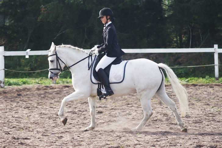 New Forest Odbjergs Batik - galop på basse pigen <33 d. 1. juli billede 12