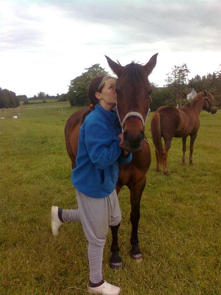 Anden særlig race Pretty Princess*Solgt* - Bare os, forever? billede 12