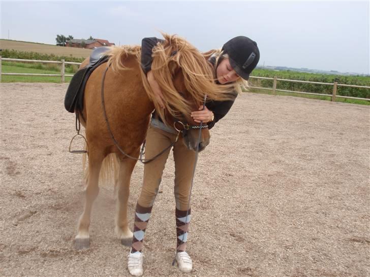 Islænder Laufa f Birkegården SOLGT - 10) wow hun kan løfte mig(: billede 10