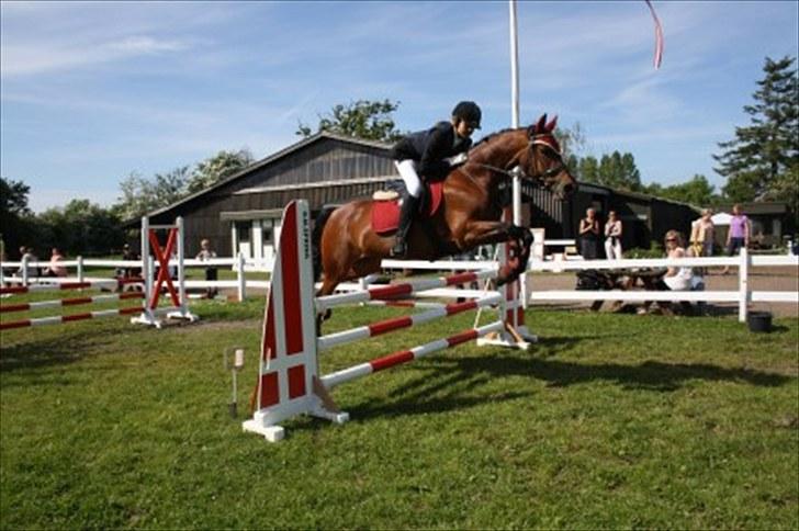 DSP Lille daugårds Tutsi - LOVE YOU!!!!!!!!!!!!!!!  billede 3