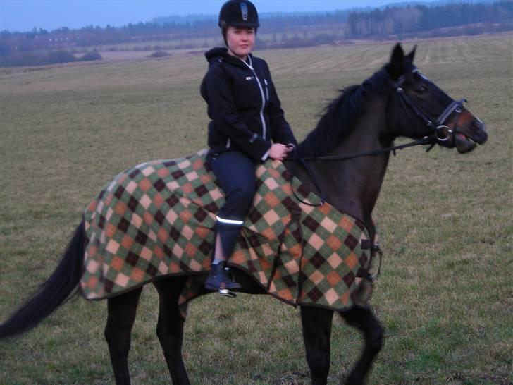 Anden særlig race Lotte :D  billede 3