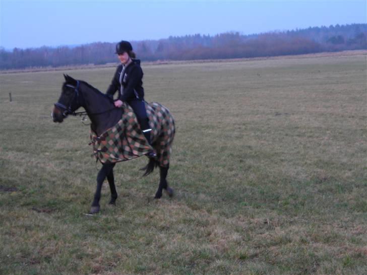 Anden særlig race Lotte :D  billede 4