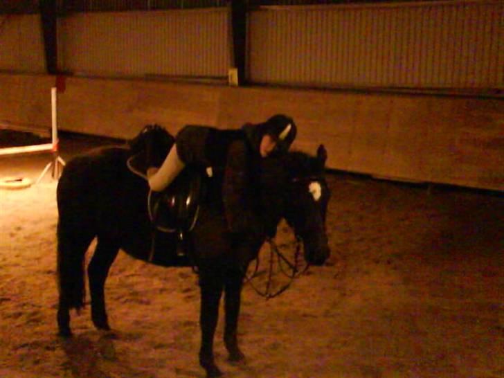 Anden særlig race Jasmin billede 15