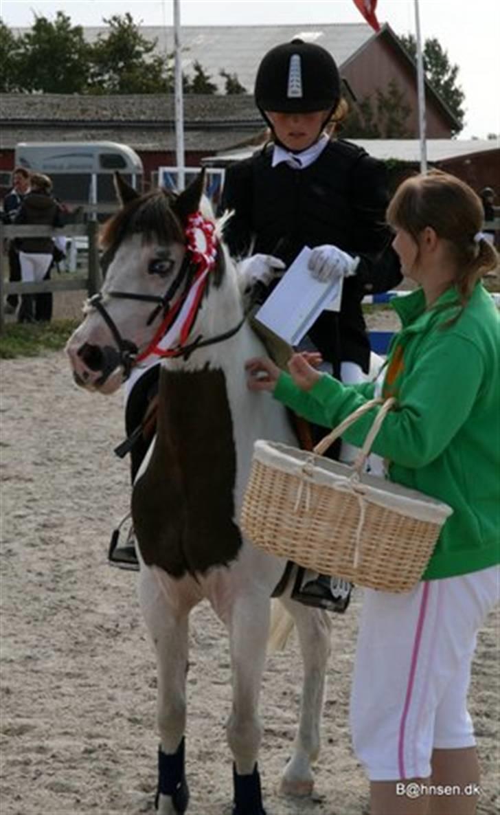 Anden særlig race Indian blue (solgt) - C-stævne i Kongelunden- La 1 PLADS <3 billede 14