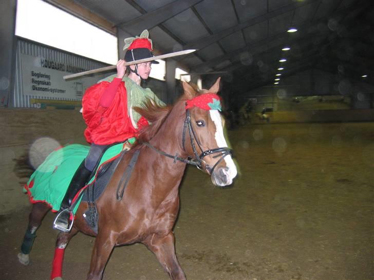 Hollandsk Sportspony Scarlett Angel [R.I.P] ;( - Ring ridning! i Galop! billede 14