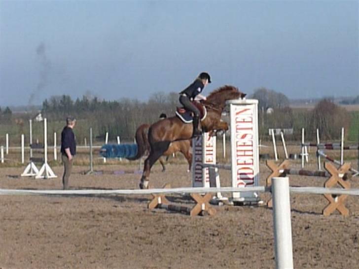 Hollandsk Sportspony Iwan *SOLGT* - springning D. 03.04.09 Uhh, lækkkert! xD billede 16