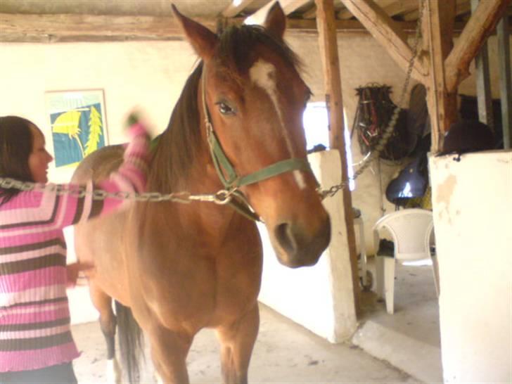 Traver Hovsa Tarka-Ka *helpart* - det er jo bår´ dæjlig´!(; billede 3