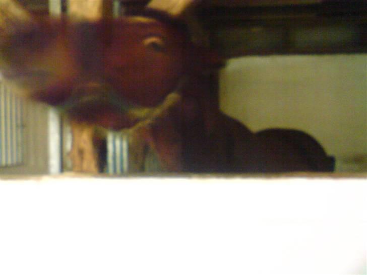 Traver Hovsa Tarka-Ka *helpart* - .jeg siger farvel, lig en bedømmelse & kommentar i; billede 7