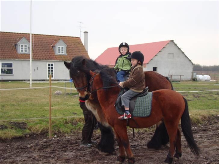 Anden særlig race Pluto  billede 17