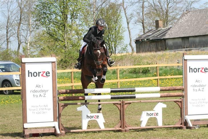 Anden særlig race Manuela  billede 15