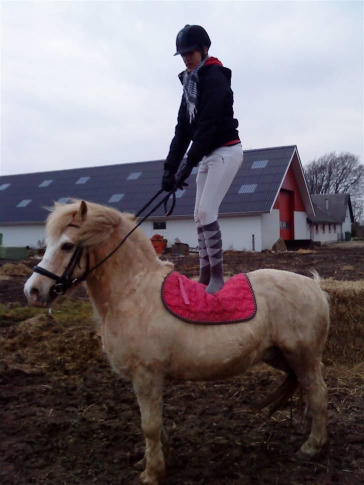 Anden særlig race Palle (Gl. Part) - Og igen. billede 3