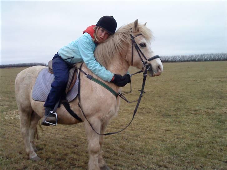 Anden særlig race Palle (Gl. Part) - Mig der kramme Drømme Ponzen billede 4