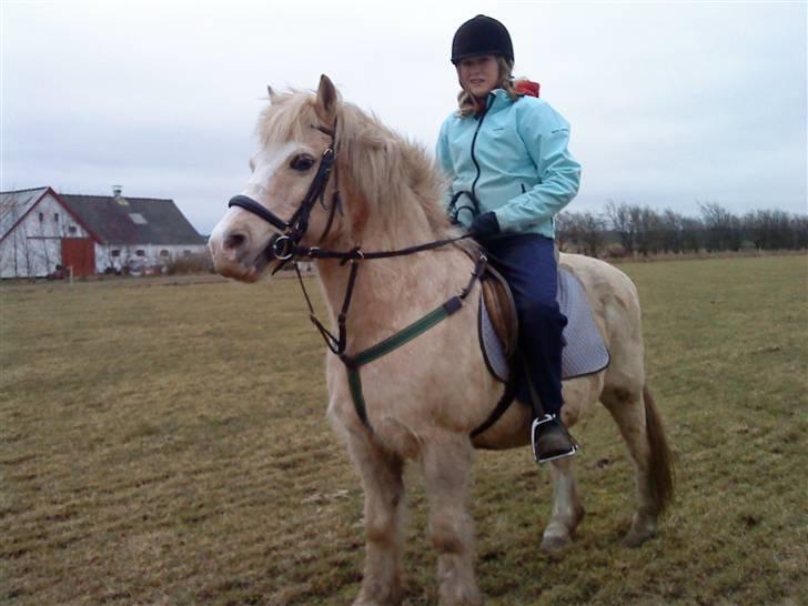 Anden særlig race Palle (Gl. Part) - Mig og Drømme Ponzen<3 billede 9