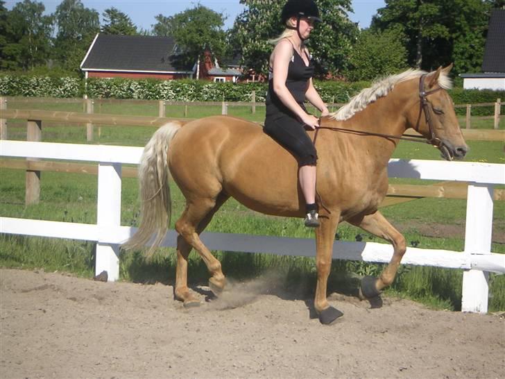 Cruzado Cabosa <3 (SOLGT/:) R.I.P - Mig og Cabosa d. 25/5-09 billede 7