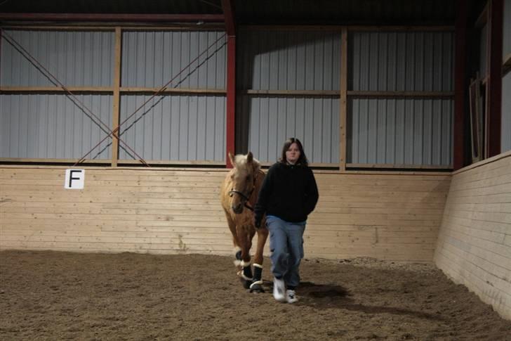 Cruzado Cabosa <3 (SOLGT/:) R.I.P - Min søster skulle også lige gå med hende ;) billede 14