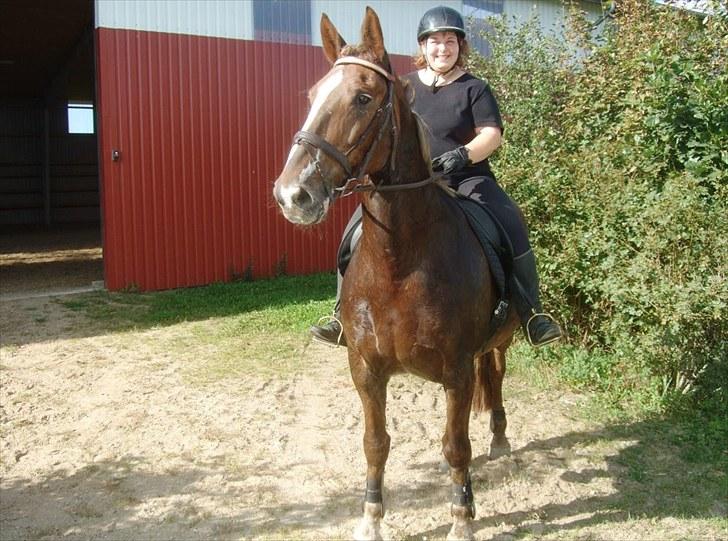 Anden særlig race Coco *R.I.P.* dejlige hest - En dejlig sensommerdag i september efter en god ridetur... billede 1