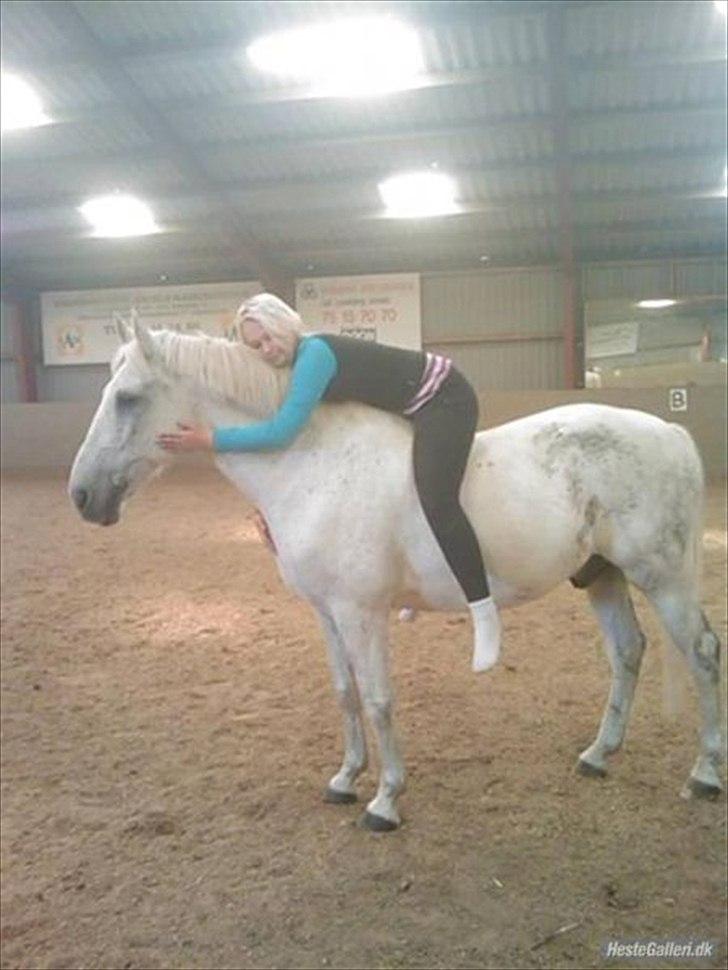 Anden særlig race Filur*Gl.Part*:'/(himmelhest) - En skøn Trav=D - Foto Mette s =D<3 du squ skøn=D billede 8