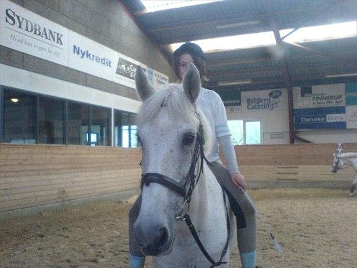 Anden særlig race Filur*Gl.Part*:'/(himmelhest) - Babe?! Savner dig !!! billede 9