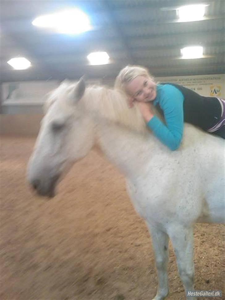 Anden særlig race Filur*Gl.Part*:'/(himmelhest) - Hvor er han lækker :D^^ - foto mette s<3 takk bby:* billede 10