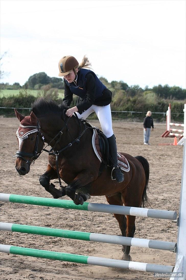 New Forest Mastwood Honeymoon - LB** i Ørsted den 19/9-10 :)  billede 6